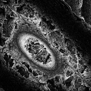 fractal noise in a feedback loop