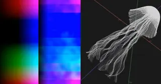 right: a jellyfish; left: also a[ jellyfish](https://www.youtube.com/watch?v=VJ5XMTmsuZg)